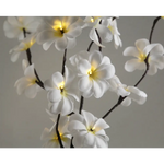 1 Set of 50cm H 20 LED White Frangipani Tree Branch Stem Fairy Light Wedding Event Party Function Table Vase