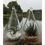 10 Pack of Hanging Clear Glass Tealight Candle Holder Tear Drop Pear Hour Glass Shape - 20cm High Terrarium Plant Mini
