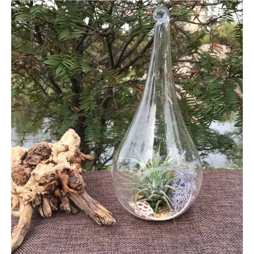 10 Pack of Hanging Clear Glass Tealight Candle Holder Tear Drop Pear Hour Glass Shape - 20cm High Terrarium Plant Mini