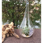 10 Pack of Hanging Clear Glass Tealight Candle Holder Tear Drop Pear Hour Glass Shape - 20cm High Terrarium Plant Mini