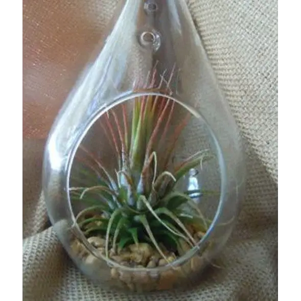 10 Pack of Hanging Clear Glass Tealight Candle Holder Tear Drop Pear Hour Glass Shape - 20cm High Terrarium Plant Mini