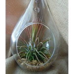 10 Pack of Hanging Clear Glass Tealight Candle Holder Tear Drop Pear Hour Glass Shape - 20cm High Terrarium Plant Mini