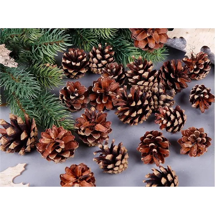 18 Christmas Natural Pine Cones Xmas Tree Hanging Home Decoration Ornament Gifts 18x Natural Pinecones - Occasions >