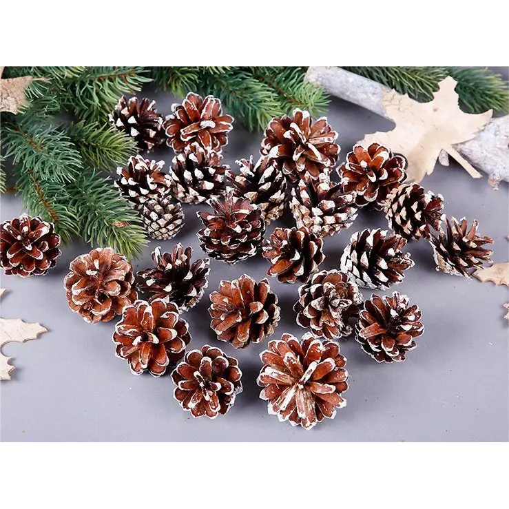 18 Christmas Natural Pine Cones Xmas Tree Hanging Home Decoration Ornament Gifts 18x Natural w Snow Covered Pinecones