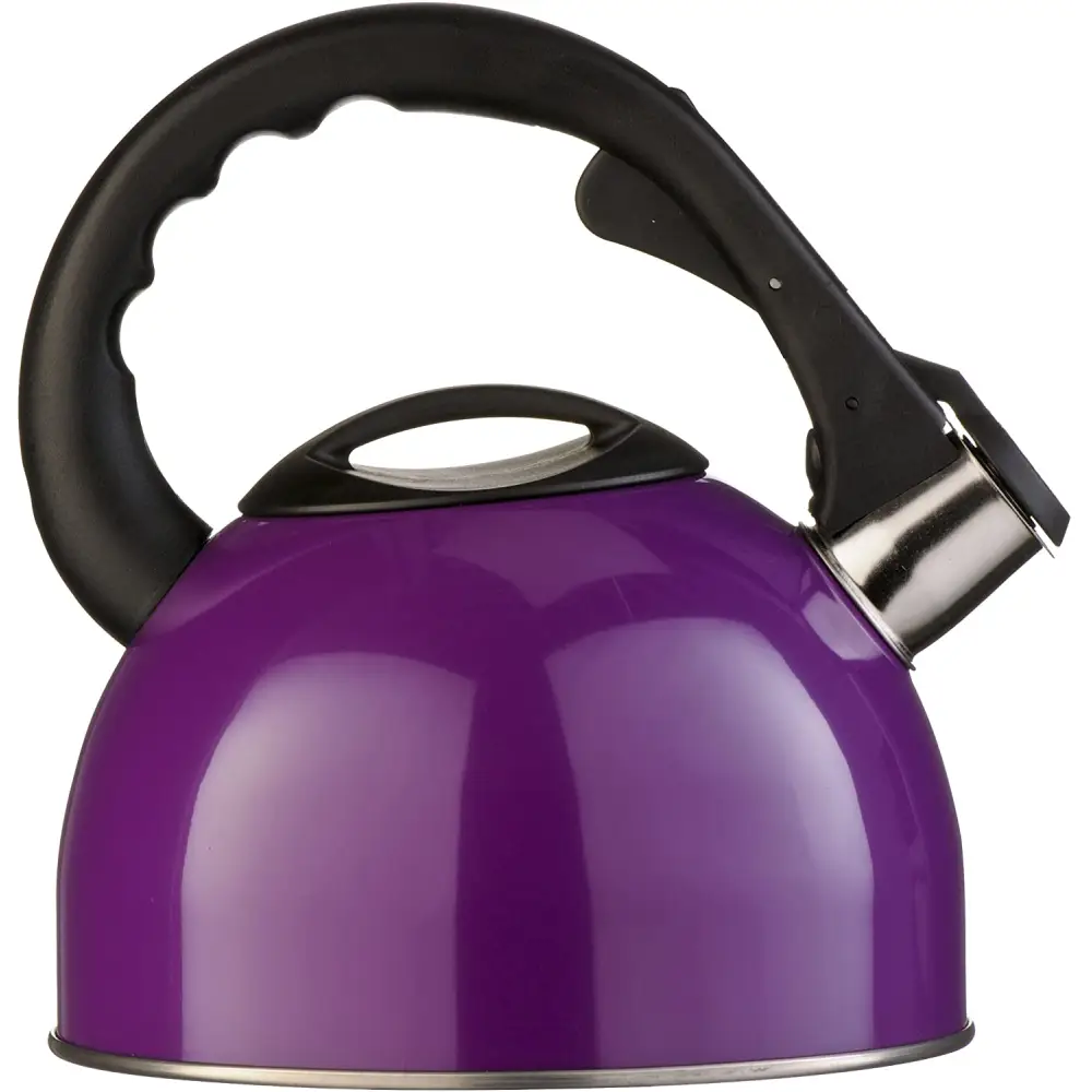 2.6L Stainless Steel Whistling Kettle - Home & Garden > Kitchenware