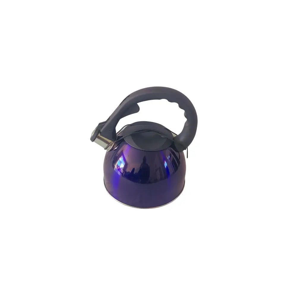 2.6L Stainless Steel Whistling Kettle - Home & Garden > Kitchenware
