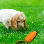 2 PCS Durable Rubber Carrot Dog Toy – Squeaky Chew Toy for Large Dogs Puppy Teething & Dental Care Interactive Play