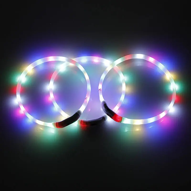 2 X YES4PETS Medium 55CM LED Dog Collar USB Rechargeable Night Glow Flashing Light Up Safety Pet Collars - Home &