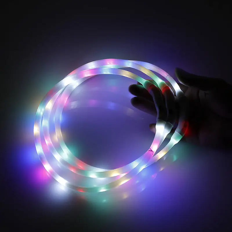 2 X YES4PETS Small 40CM LED Dog Collar USB Rechargeable Night Glow Flashing Light Up Safety Pet Collars - Home & Garden