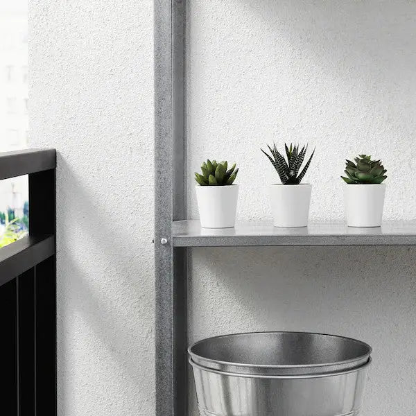 3 Pack of Artificial Succulent Potted Plants in White Plastic 6cm Pot Interior Decoration - Home & Garden > Artificial
