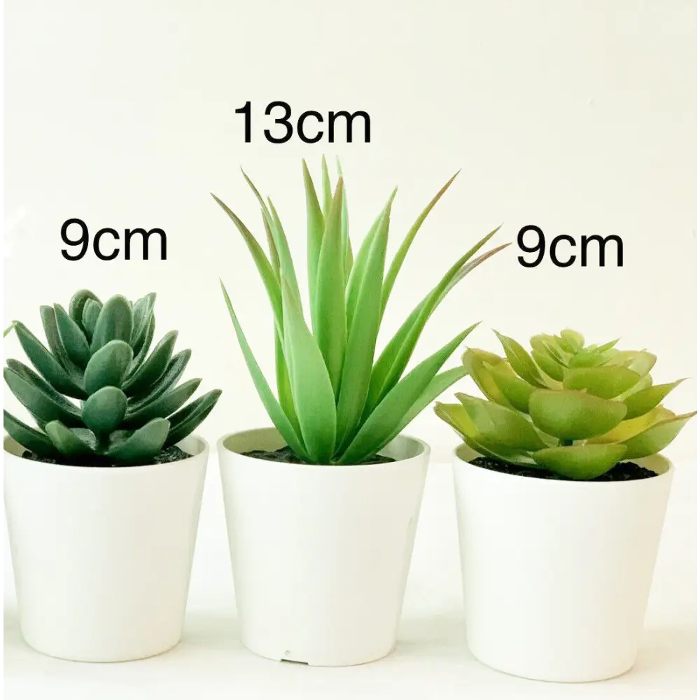 3 Pack of Artificial Succulent Potted Plants in White Plastic 6cm Pot Interior Decoration - Home & Garden > Artificial