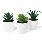 3 Pack of Artificial Succulent Potted Plants in White Plastic 6cm Pot Interior Decoration - Home & Garden > Artificial
