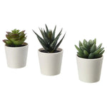 3 Pack of Artificial Succulent Potted Plants in White Plastic 6cm Pot Interior Decoration - Home & Garden > Artificial