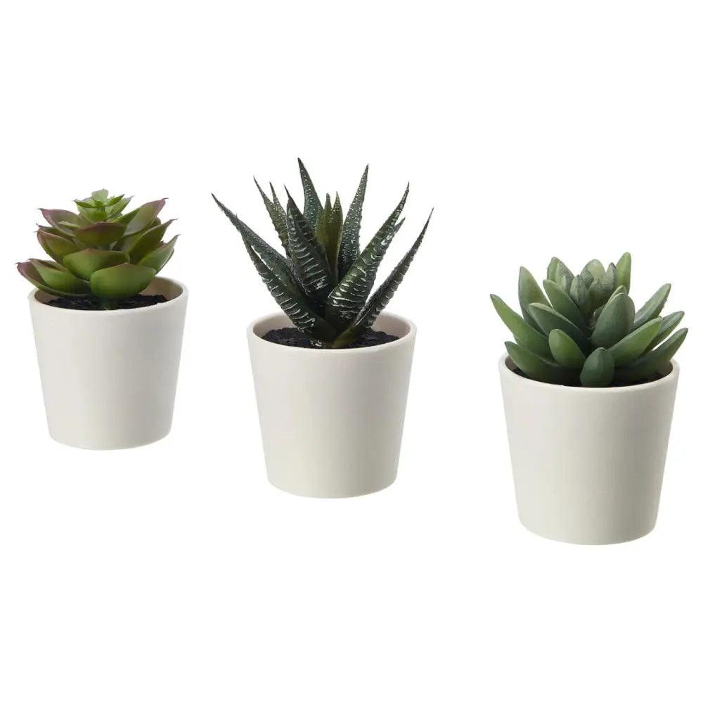 3 Pack of Artificial Succulent Potted Plants in White Plastic 6cm Pot Interior Decoration - Home & Garden > Artificial