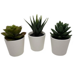 3 Pack of Artificial Succulent Potted Plants in White Plastic 6cm Pot Interior Decoration - Home & Garden > Artificial