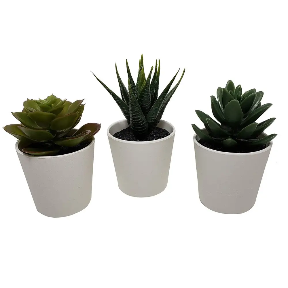3 Pack of Artificial Succulent Potted Plants in White Plastic 6cm Pot Interior Decoration - Home & Garden > Artificial