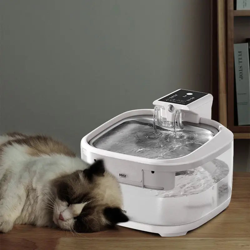 4.5L Dual-Flow Smart Pet Water Fountain with Stainless Steel Plate and Faucet – White Design - Pet Care > Cat
