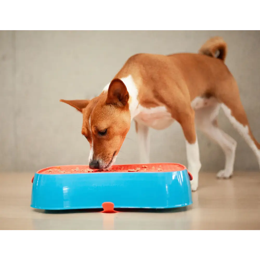 4-in-1 Slow Feeder Dog Bowl - Blue Bowl and Warm Ocean Red Lickmat - Pet Care > Dog Supplies > Dog Bowls Feeders &