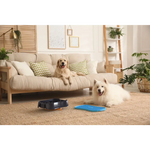 4-in-1 Slow Feeder Dog Bowl - Dark Grey Bowl with Blue Lickmat - Pet Care > Dog Supplies > Dog Bowls Feeders & Waterers