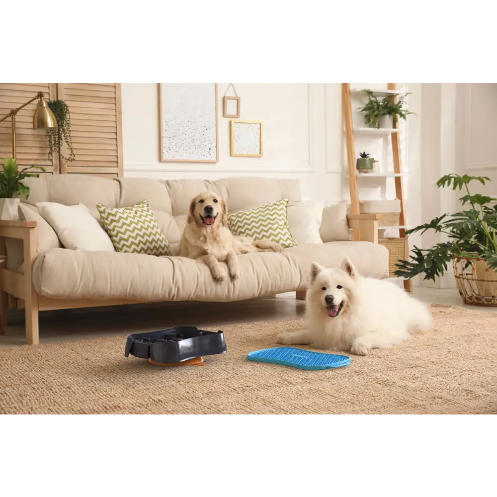 4-in-1 Slow Feeder Dog Bowl - Dark Grey Bowl with Blue Lickmat - Pet Care > Dog Supplies > Dog Bowls Feeders & Waterers