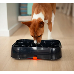 4-in-1 Slow Feeder Dog Bowl - Dark Grey Bowl with Blue Lickmat - Pet Care > Dog Supplies > Dog Bowls Feeders & Waterers