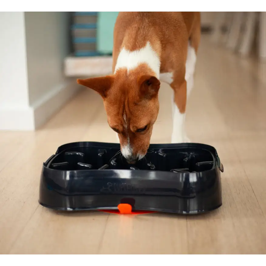 4-in-1 Slow Feeder Dog Bowl - Dark Grey Bowl with Blue Lickmat - Pet Care > Dog Supplies > Dog Bowls Feeders & Waterers