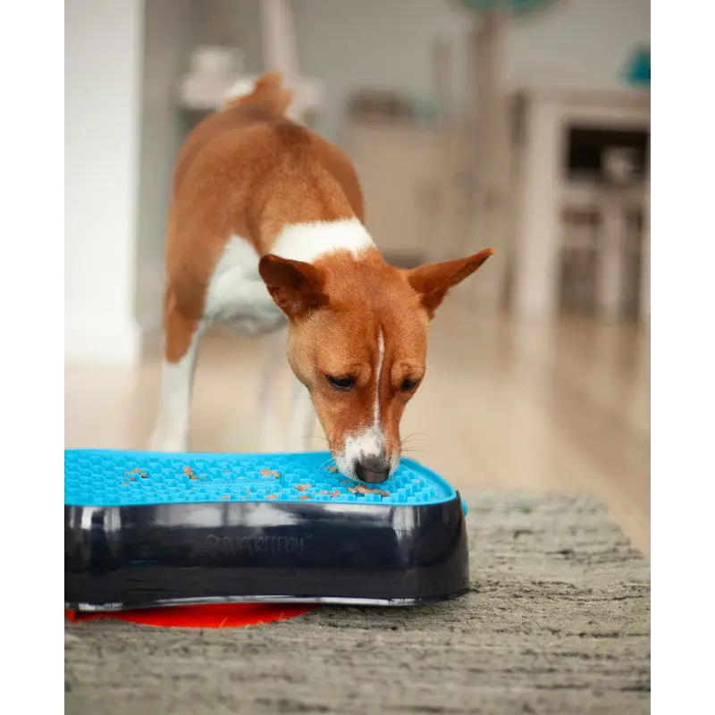 4-in-1 Slow Feeder Dog Bowl - Dark Grey Bowl with Blue Lickmat - Pet Care > Dog Supplies > Dog Bowls Feeders & Waterers