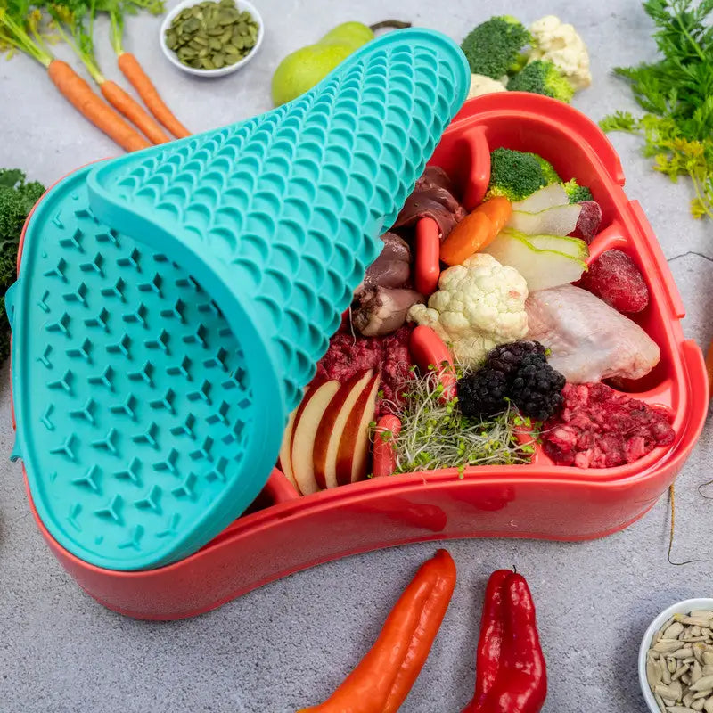 4-in-1 Slow Feeder Dog Bowl - Warm Ocean Red Bowl with Teal Lickmat - Pet Care > Dog Supplies > Dog Bowls Feeders &