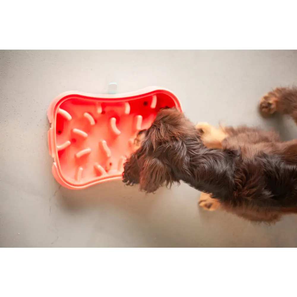 4-in-1 Slow Feeder Dog Bowl - Warm Ocean Red Bowl with Teal Lickmat - Pet Care > Dog Supplies > Dog Bowls Feeders &