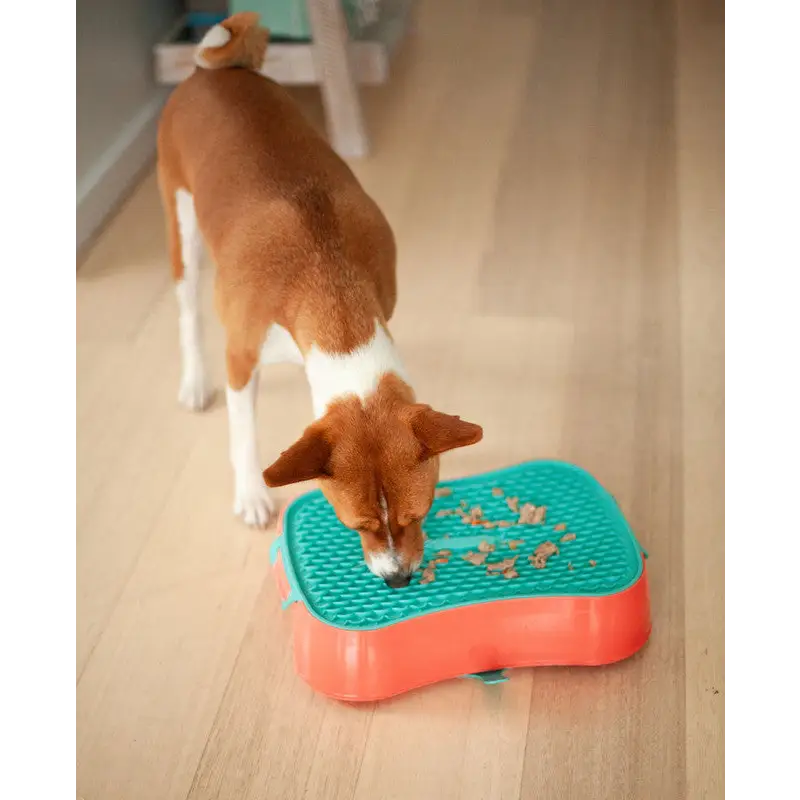 4-in-1 Slow Feeder Dog Bowl - Warm Ocean Red Bowl with Teal Lickmat - Pet Care > Dog Supplies > Dog Bowls Feeders &