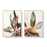 40cmx60cm Botanical Leaves 2 Sets Gold Frame Canvas Wall Art - Home & Garden > Wall Art