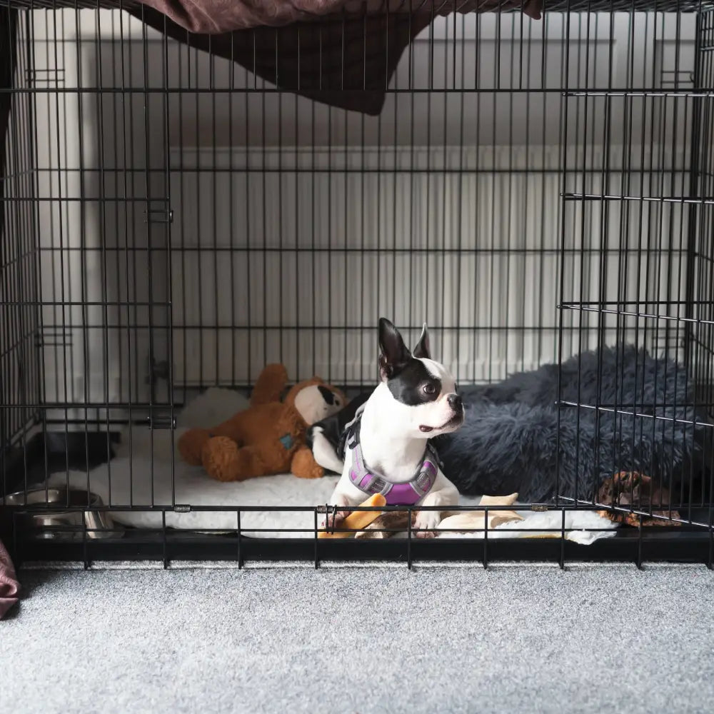 4Paws Dog Cage Pet Crate Cat Puppy Metal Cage ABS Tray Foldable Portable Black - 30’’ - Black - Pet Care > Cat