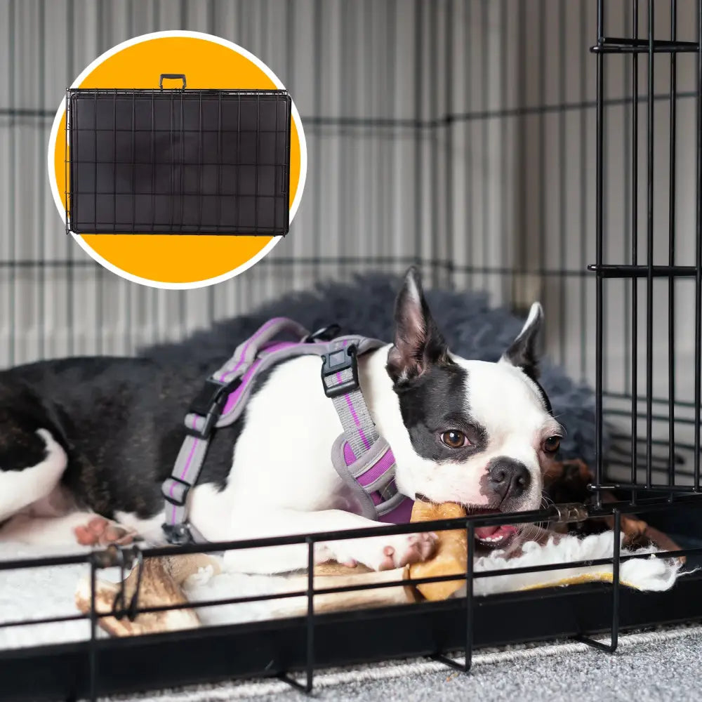 4Paws Dog Cage Pet Crate Cat Puppy Metal Cage ABS Tray Foldable Portable Black - 30’’ - Black - Pet Care > Cat