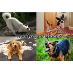 4x4m Dog Enclosure Kennel Large Chain Dogs Cat Cage Pet Animal Cover Shade Fencing Run Playpen - Pet Care > Dog