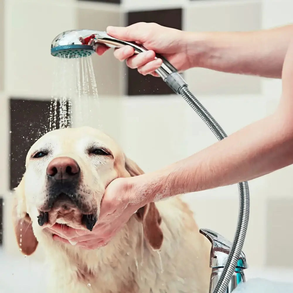5 FT Handheld Shower Head Hose 1.5m Bathroom Stainless Steel Shower Water Tube - Home & Garden > Bathroom Accessories >