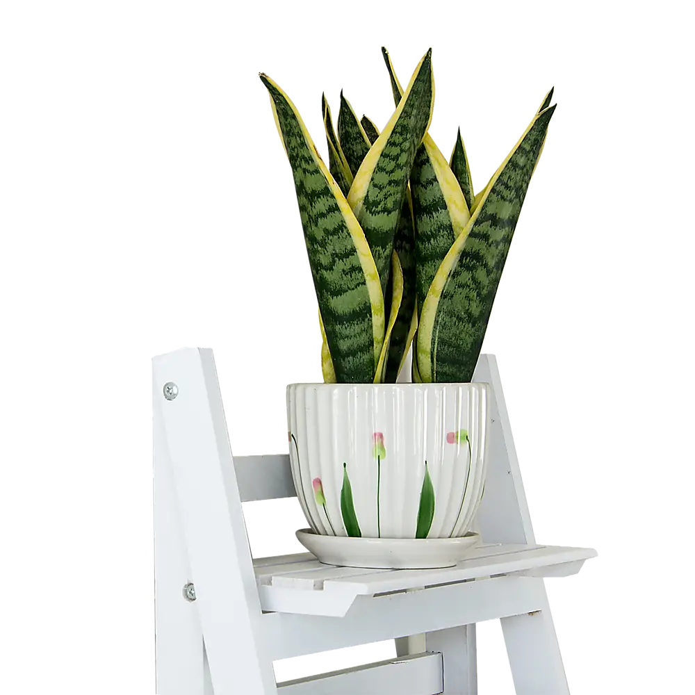 5 Tier Wooden Ladder Shelf Stand Storage Book Shelves Shelving Display Rack - Furniture > Office
