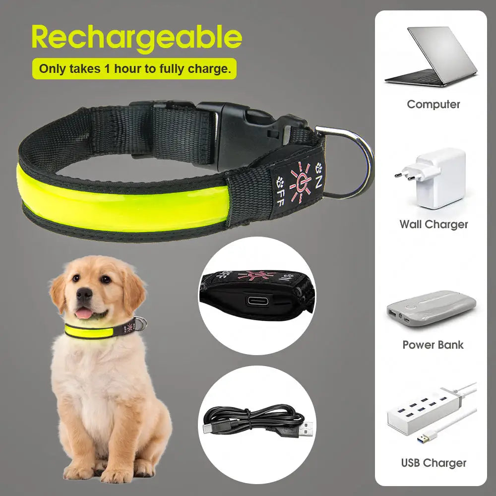 50cm Rechargeable Light-up LED Pet Collar - Pet Care > Dog Supplies > Dog Collars Leads & Harnesses