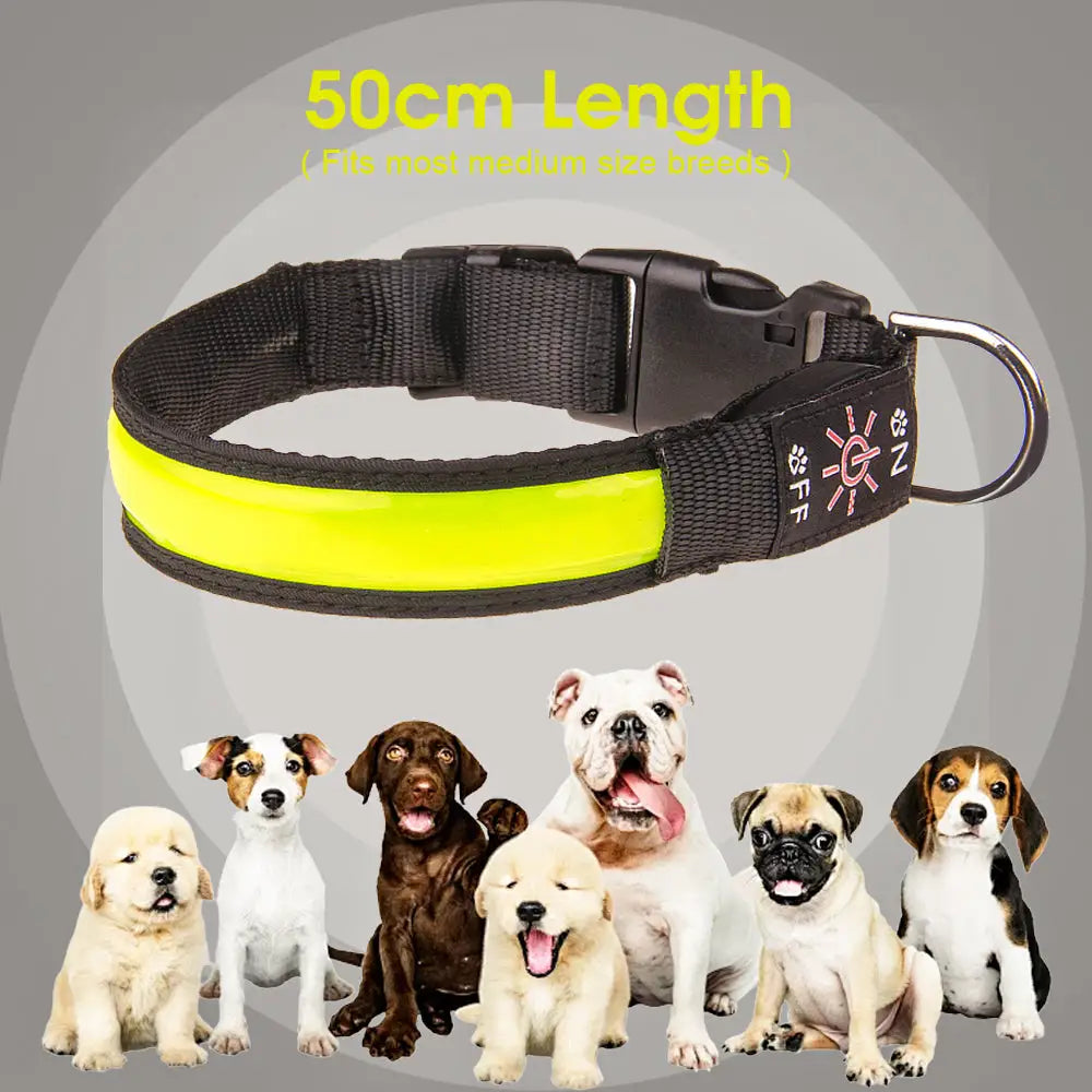 50cm Rechargeable Light-up LED Pet Collar - Pet Care > Dog Supplies > Dog Collars Leads & Harnesses