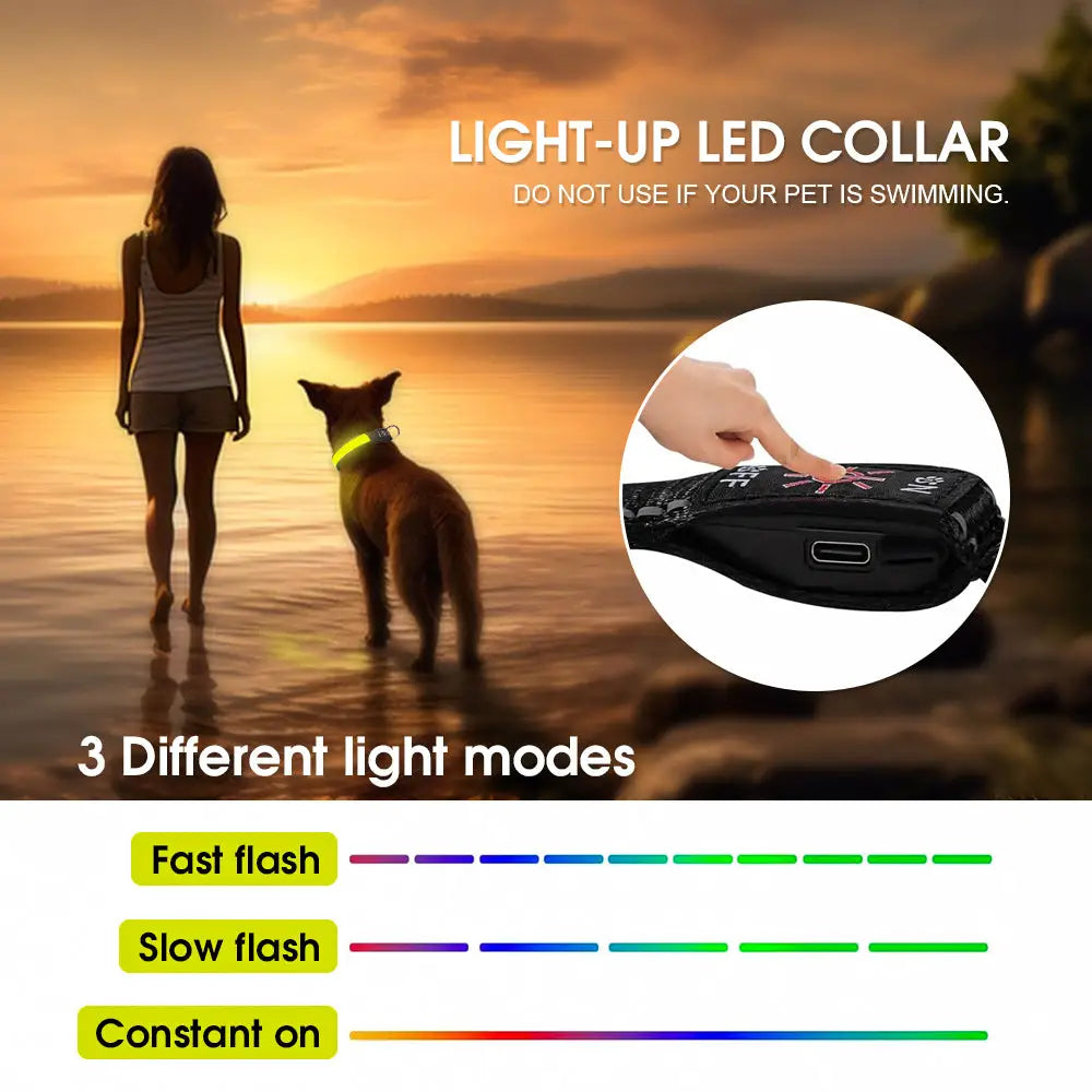 50cm Rechargeable Light-up LED Pet Collar - Pet Care > Dog Supplies > Dog Collars Leads & Harnesses