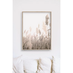 50cmx70cm Pampas Grass 2 Sets Wood Frame Canvas Wall Art - Home & Garden > Wall Art