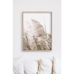 50cmx70cm Pampas Grass 2 Sets Wood Frame Canvas Wall Art - Home & Garden > Wall Art