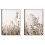 50cmx70cm Pampas Grass 2 Sets Wood Frame Canvas Wall Art - Home & Garden > Wall Art
