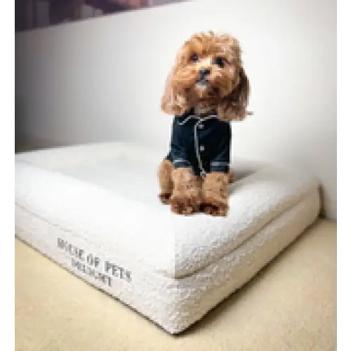 50x HOPD Memory Foam Dog Bed in Bouclé - Medium - Pet Care > Dog Supplies > Dog Beds
