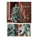55cm Frosted Mini Christmas Tree – Snow-Covered Indoor Holiday Decoration - Occasions > Christmas > Christmas Trees