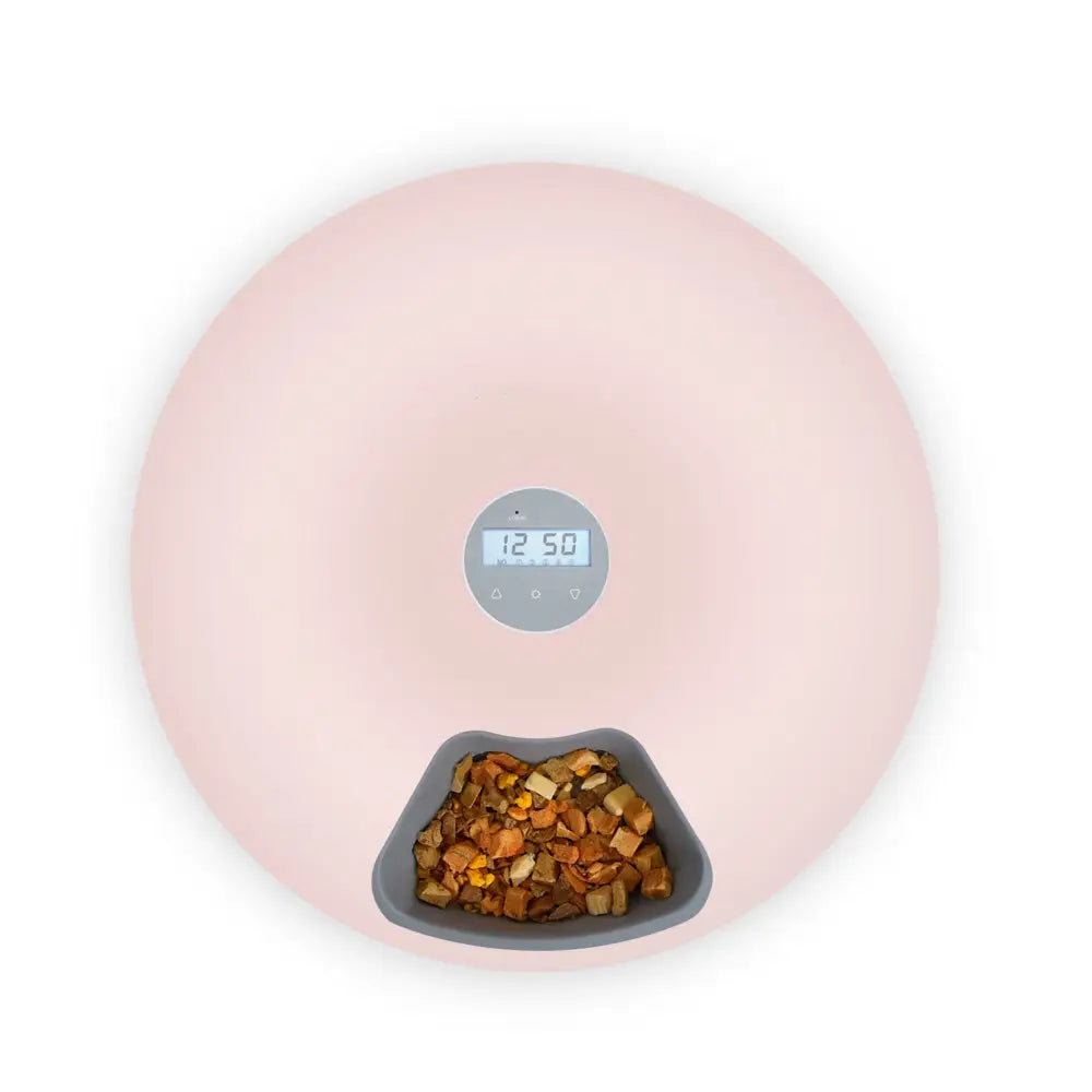 6 Meal Automatic Pet Dog Cat Food Feeder Dispenser with Programmable Timer Pink - Pet Care > Dog Supplies > Dog Bowls