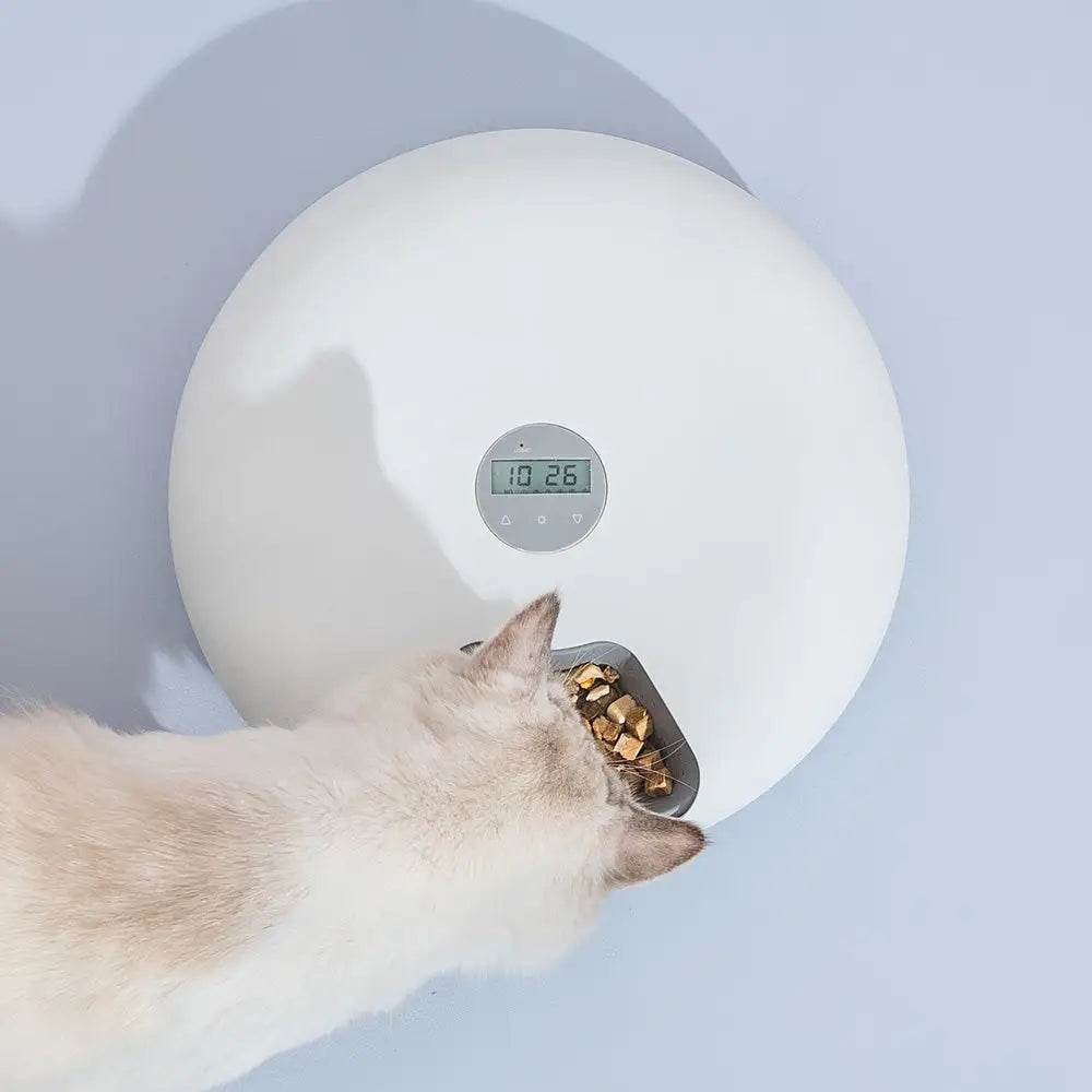 6 Meal Automatic Pet Dog Cat Food Feeder Dispenser with Programmable Timer White - Pet Care > Dog Supplies > Dog Bowls