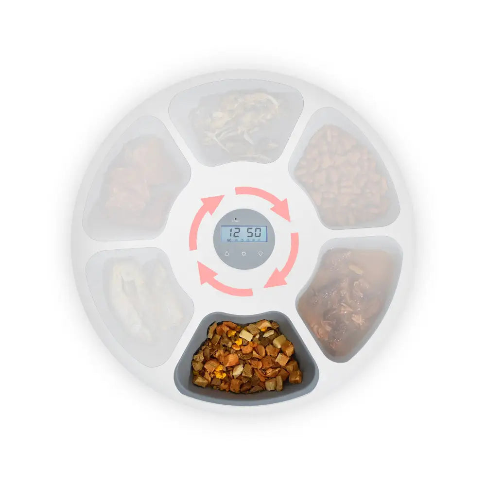 6 Meal Automatic Pet Dog Cat Food Feeder Dispenser with Programmable Timer White - Pet Care > Dog Supplies > Dog Bowls