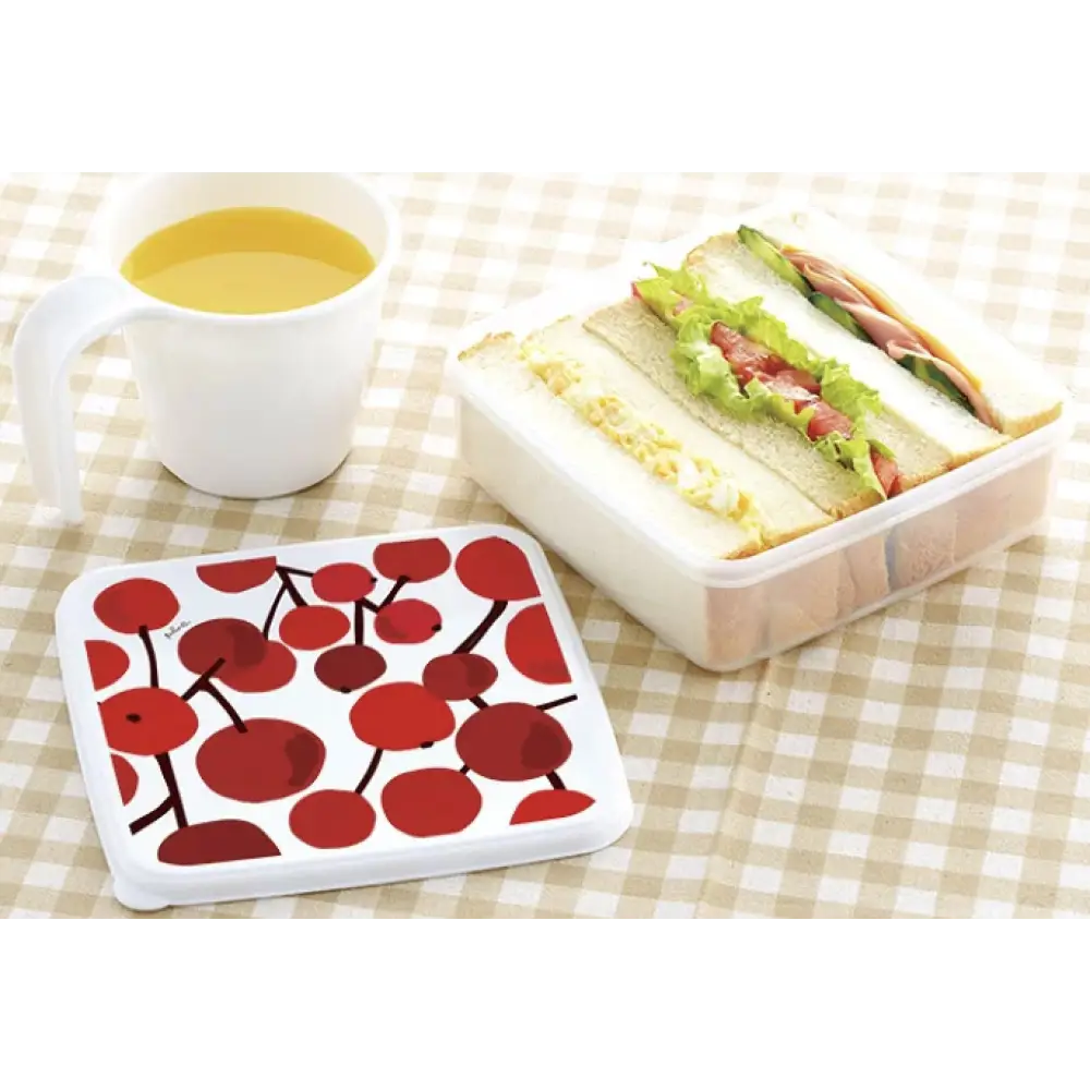 [6-PACK] Plune Food Storage Box 4-Piece Set (2 Size available) B - Home & Garden > Storage
