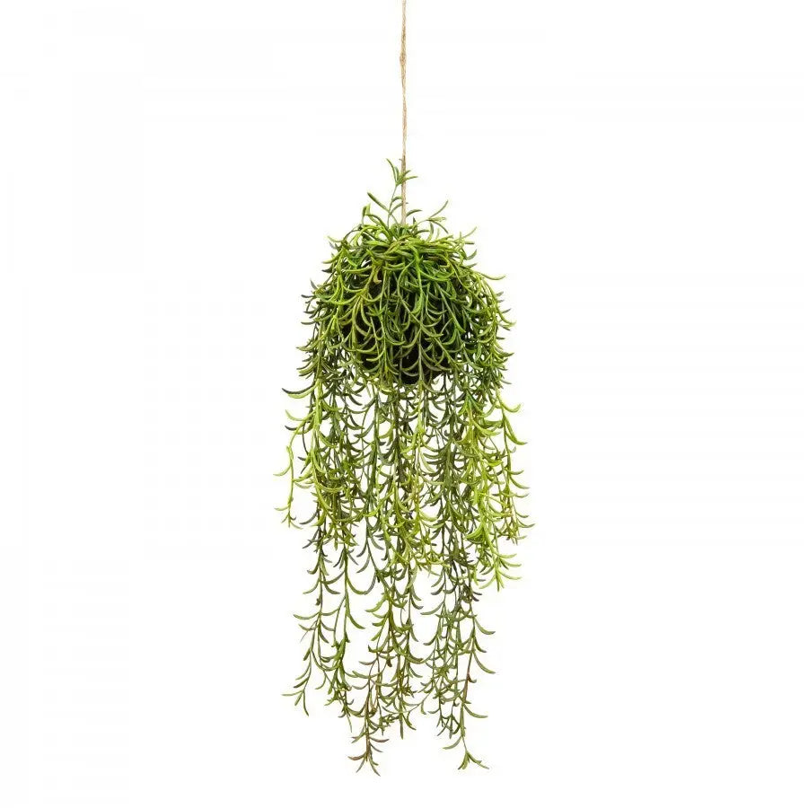 60cm Moss Ball w Senecio Hanging Artificial Plant Flower (with Rope) Fake - Home & Garden > Decor > Vases & Table Decor