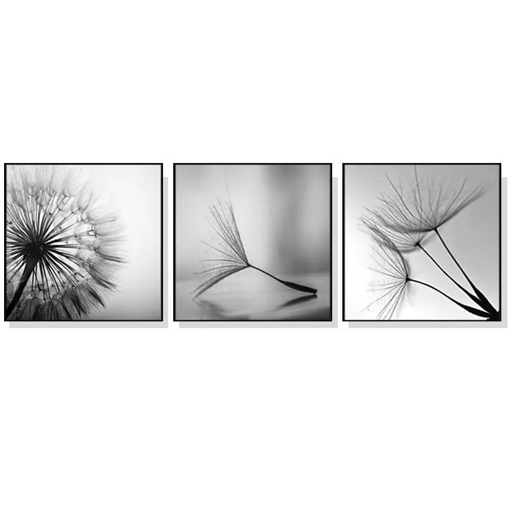 60cmx60cm Botanical dandelions 3 Sets Black Frame Canvas Wall Art - Home & Garden > Wall Art